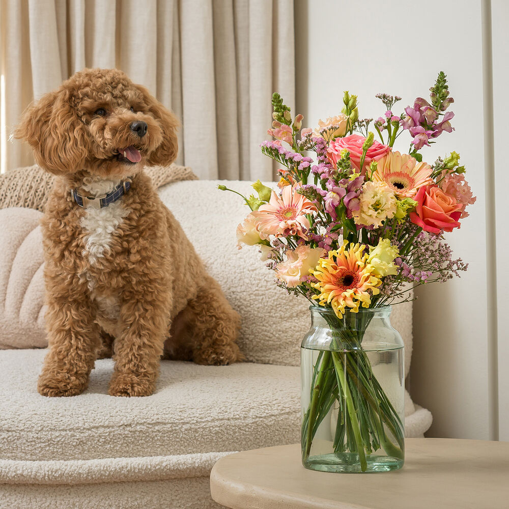 Giftige bloemen voor honden en katten: deze bloemen zijn wél veilig