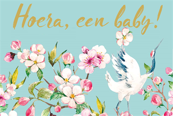 Hoera een baby