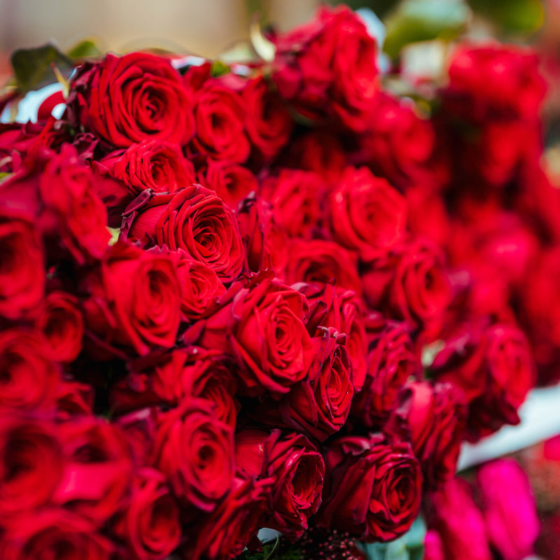 Rozen
